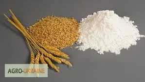 Пшеничная мука высшего сорта - фото № 1