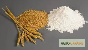 Пшенична мука вищого сорту від виробника - фото № 2