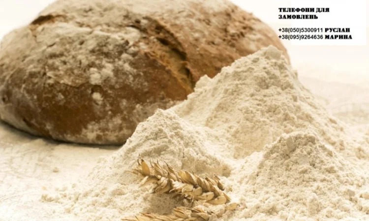 Житнє борошно від виробника ТОВ "Наш млин" - фото № 1