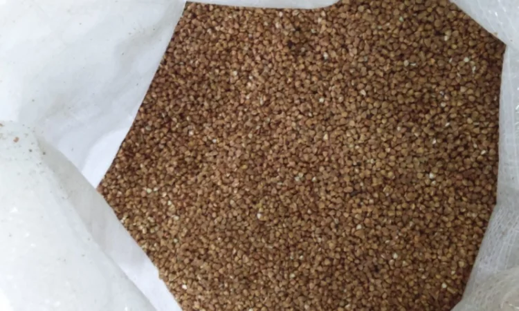 Гречневая крупа ядрица в продаже - фото № 2