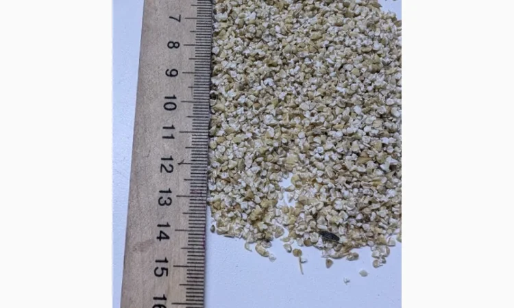 Продается ячневая крупа оптом и в розницу - фото № 3