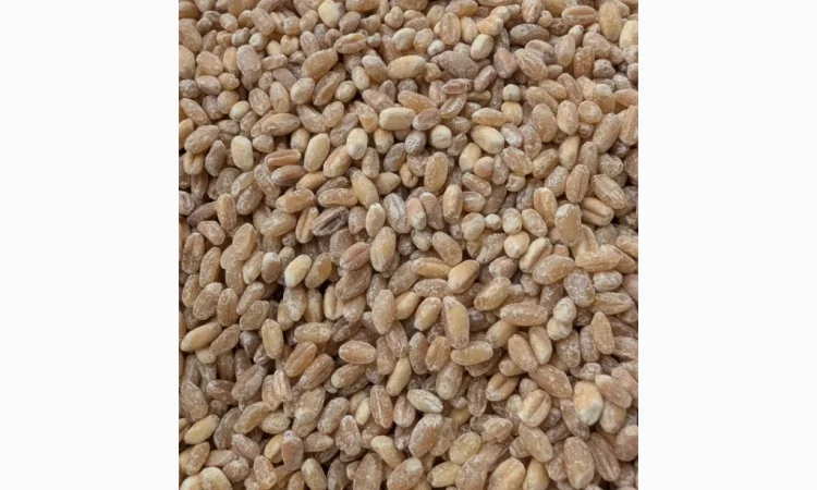 Пропонується Кутя з твердих і м'яких сортів пшениці - фото № 3