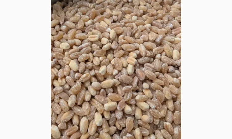 Пропонується Кутя з твердих і м'яких сортів пшениці - фото № 4