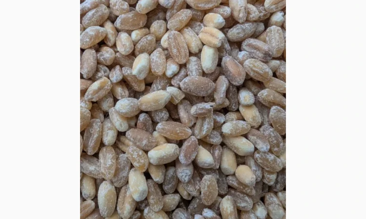 Пропонується Кутя з твердих і м'яких сортів пшениці - фото № 5