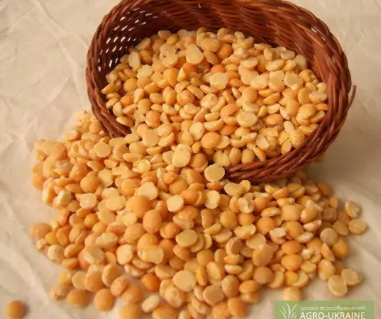 Продам горох колотый желтый - фото № 1