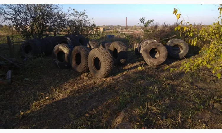 Куплю крупы - фото № 6