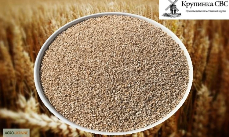 Крупа пшенична від виробника - фото № 1