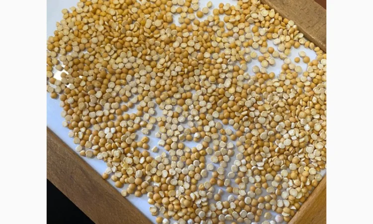 Продажа высококачественных круп и гороха - фото № 1