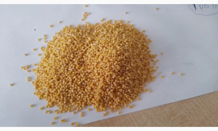 Пшоно в/г від виробника - фото № 1