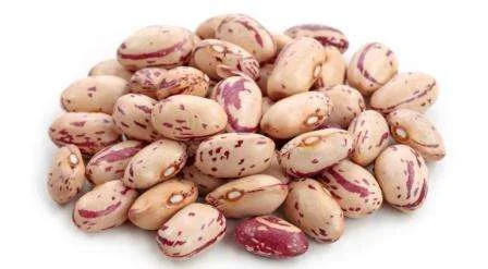 Купуємо крупи оптом на експорт - фото № 8