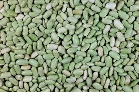 Купуємо крупи оптом на експорт - фото № 11