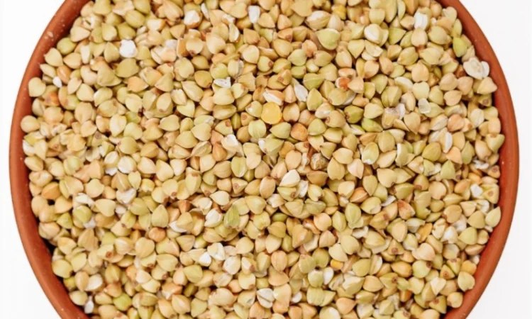 Зелена гречка та проділ гречаний - фото № 1