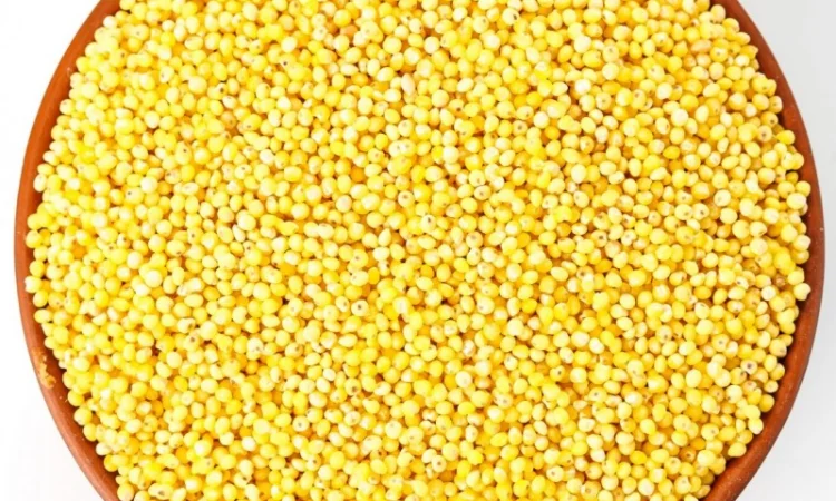 Різні крупи - фото № 8