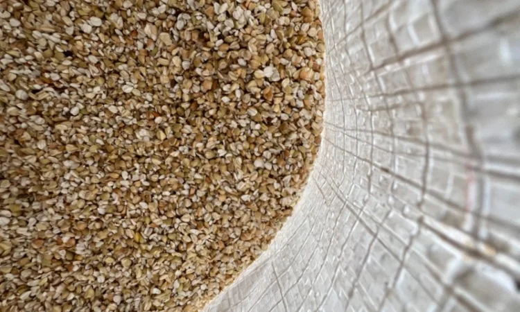 Продам гречану січку(проділ) - фото № 4