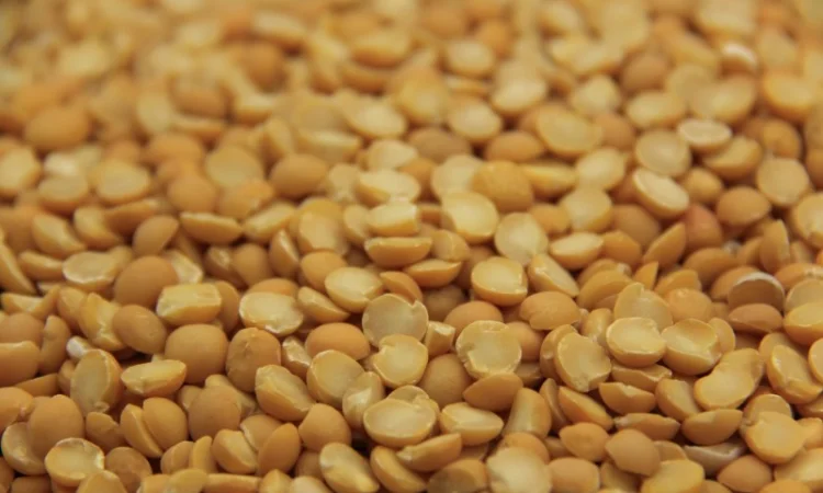 Крупи горохові фасовані 1кг від виробника ТМ ЕКОР - фото № 2