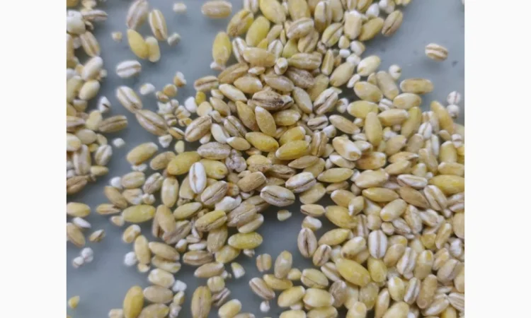 Крупи ячмінні перлові ТМ "ЕКОР" від виробника - фото № 2