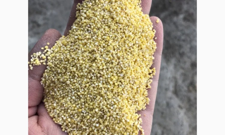 Пшено - фото № 1