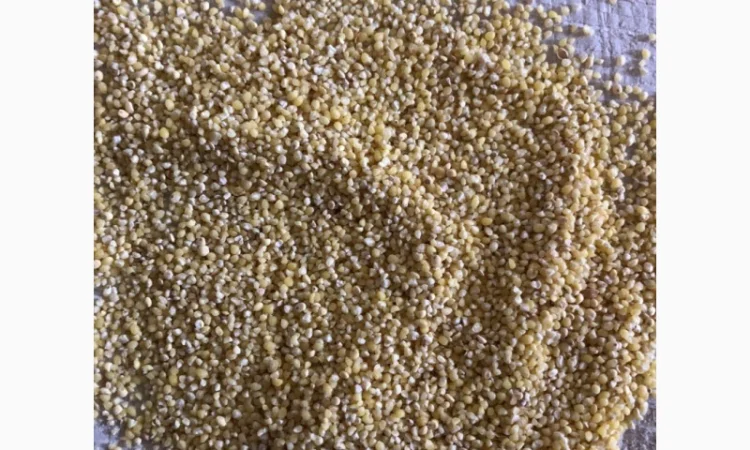 Пшено - фото № 2