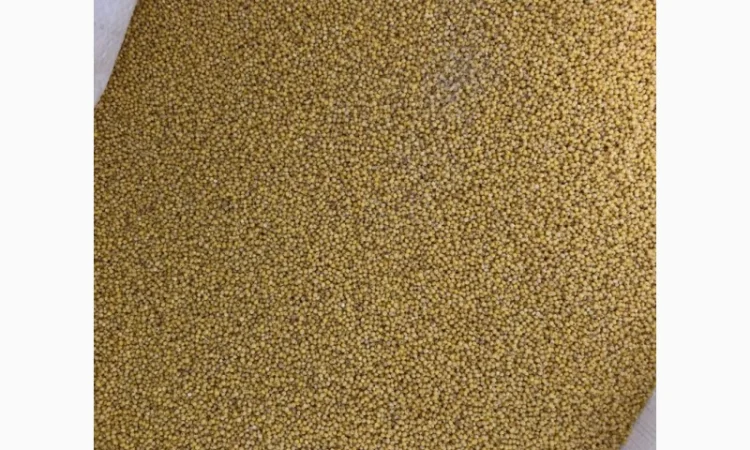 Пшено - фото № 3