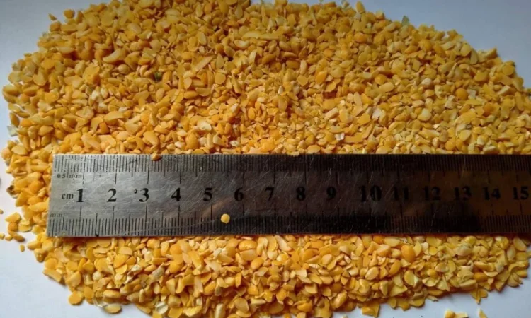 Горох, гороховая крупа, горох половинки, колотый горох, сечка гороха, отходы гороха - фото № 1
