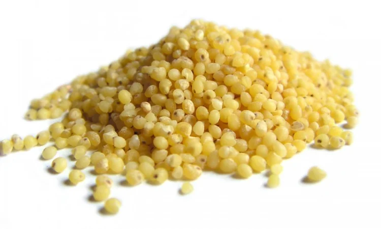 Закупаем пшено - фото № 1