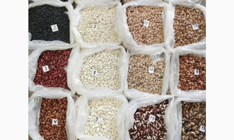 Продам Квасолю (є всі сорти) - фото № 1