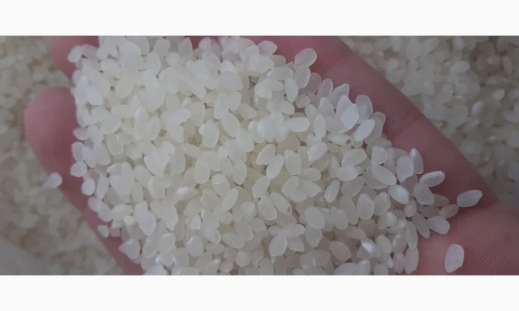 Продам Рис длинный, пропаренный, круглый от прямого импортера - фото № 2