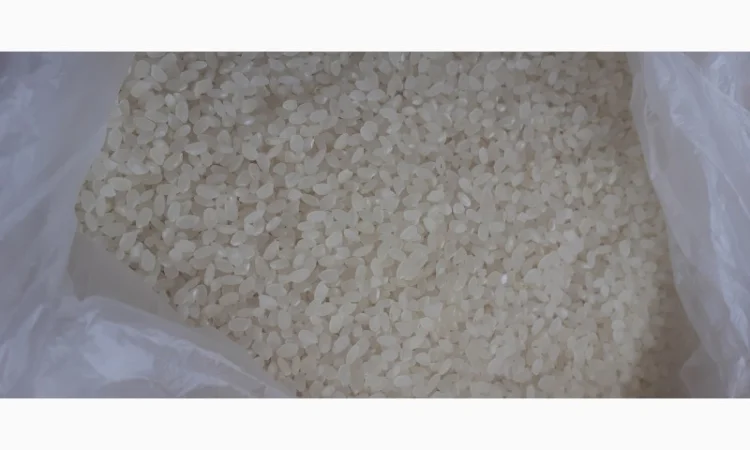 Продам Рис длинный, пропаренный, круглый от прямого импортера - фото № 3