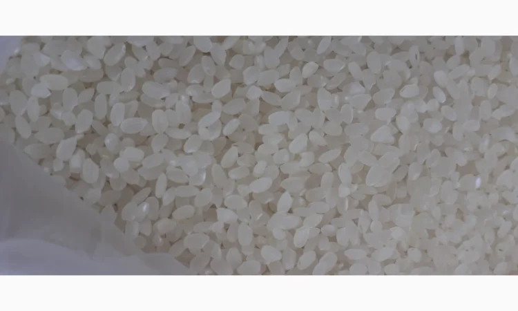 Продам Рис длинный, пропаренный, круглый от прямого импортера - фото № 4