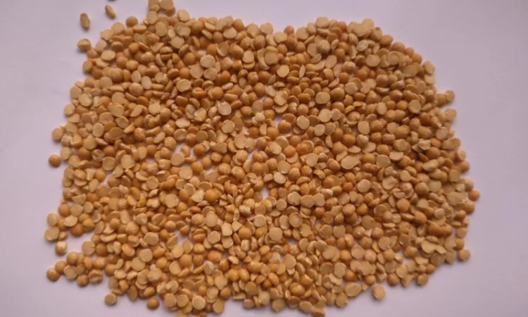 Горох колотий, гуртом - фото № 1