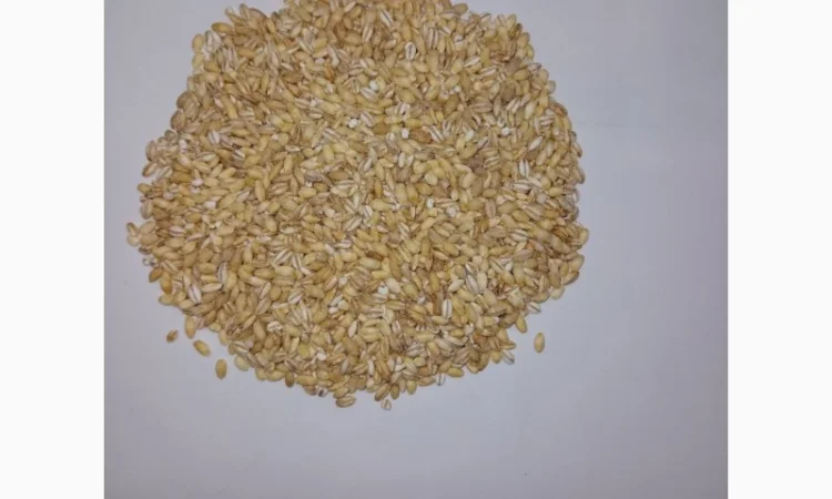 Продаємо крупи власного виробництва - фото № 5