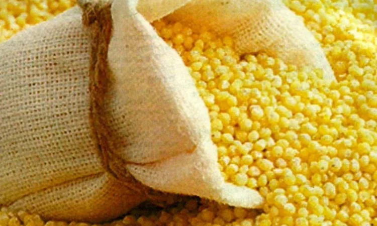 Крупы на экспорт! Весовые и фасованные - фото № 1