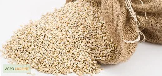 Крупы на экспорт! Весовые и фасованные - фото № 6