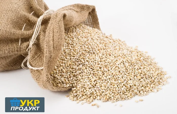 Крупа перлова ОПТ - фото № 1