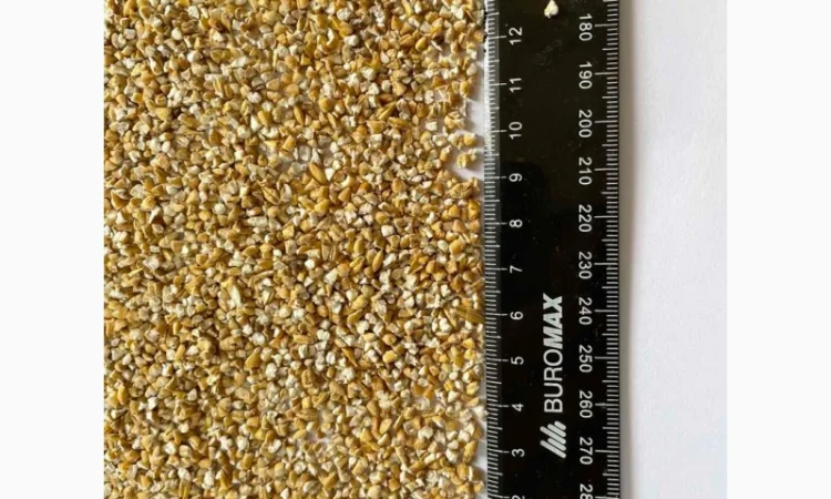 Крупы Пшеничная, ячневая, перловая оптом с пдв - фото № 1