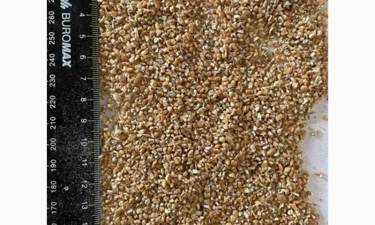 Крупы Пшеничная, ячневая, перловая оптом с пдв - фото № 2