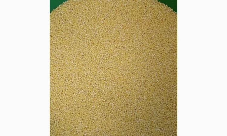 Продам пшоно - фото № 1