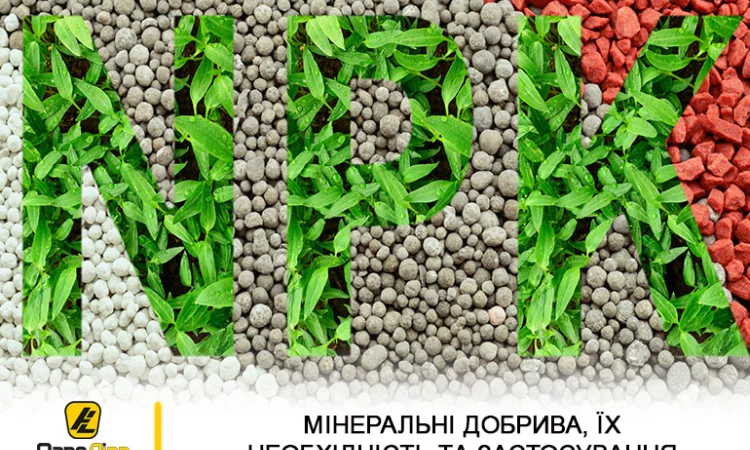 Минеральные удобрения NPK для подсолнечника - фото № 1