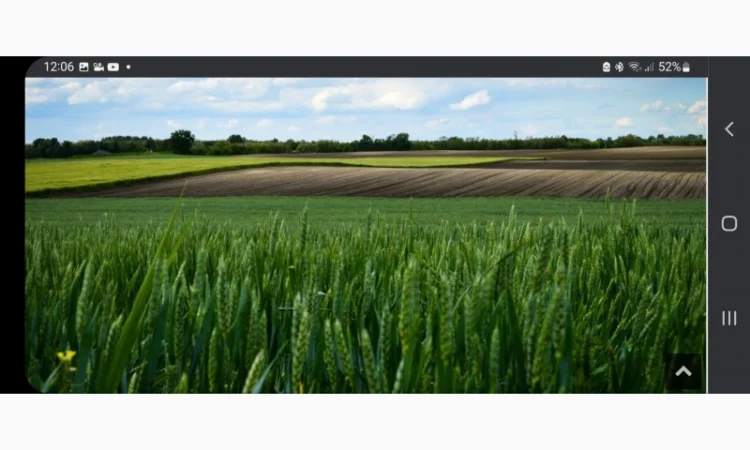 Підсилювач Азоту в Кас - фото № 1