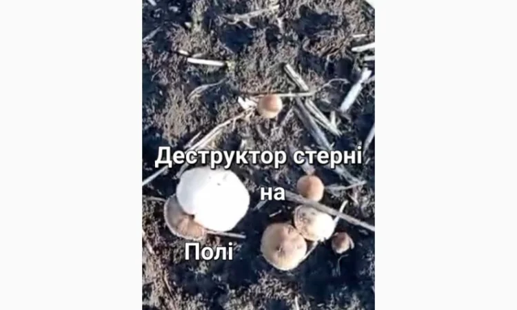 Деструктор поживних решток - фото № 2