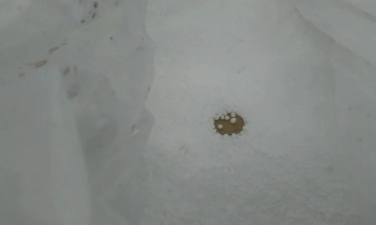 Карбамід 46, 2% Азербайджан <SOCAR - фото № 4