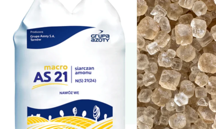 Сульфат аммония Macro Standart AS 21 от GRUPA AZOTY, Польша - фото № 1