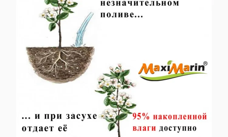 Суперабсорбент MaxiMarin, гідрогель - фото № 1