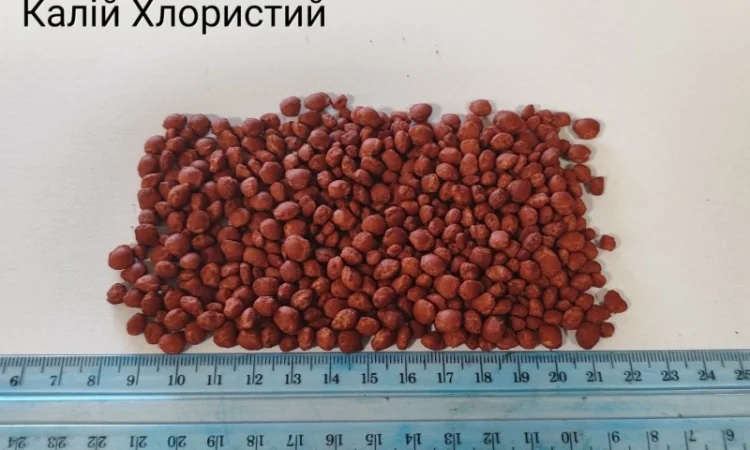 Калій хлористий гранульований - фото № 1
