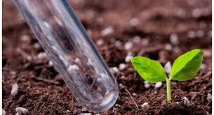 Яра Міла Київ, Дніпро, Суми, Чернігів, Кропивницький, Вінниця, Житомир, Миколаїв, Полтава - фото № 1