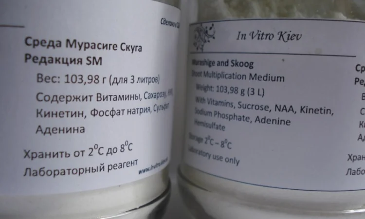 Питательная среда Мурасиге Скуга с сахарозой и регуляторами роста 3 литра - фото № 2