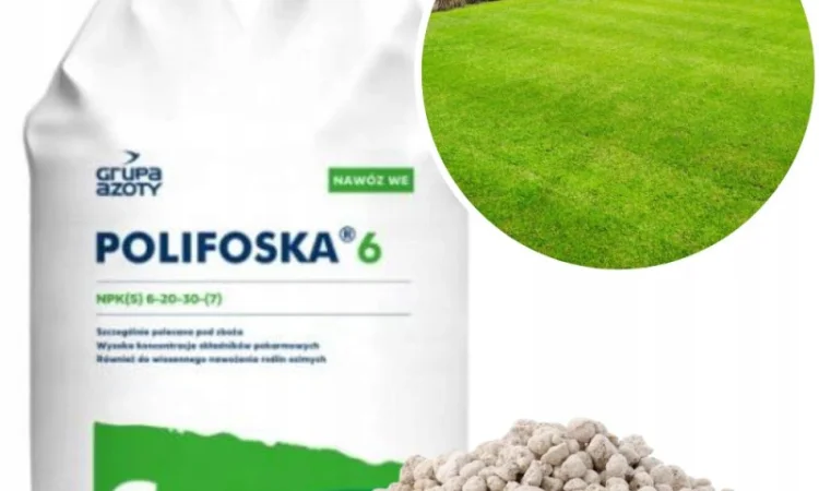 Поліфоска 6 (NPK) 6-20-30 +7(S) / Polifoska 6 - фото № 1