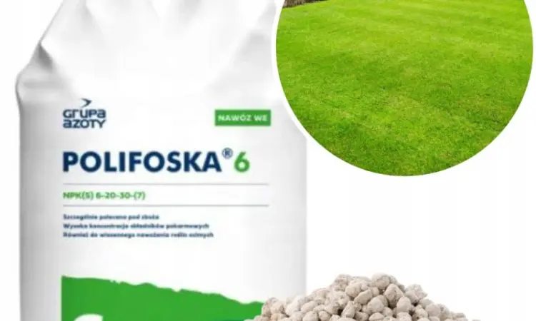 Поліфоска 6 (NPK) 6-20-30 +7(S) / Polifoska 6 - фото № 1