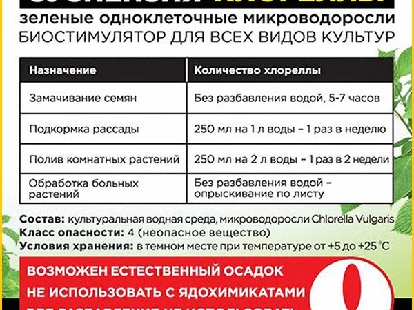 Хлорела суспензія - зелене золото - фото № 2