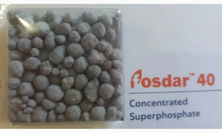 Super fos dar 40 - суперфосфат збагачений 40% - фото № 1